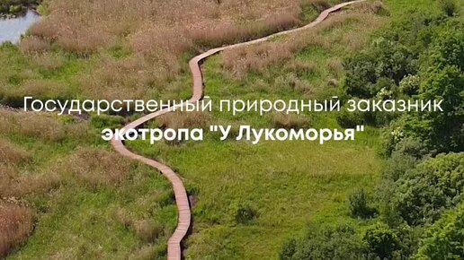 Экотропа лукоморье в лисьем