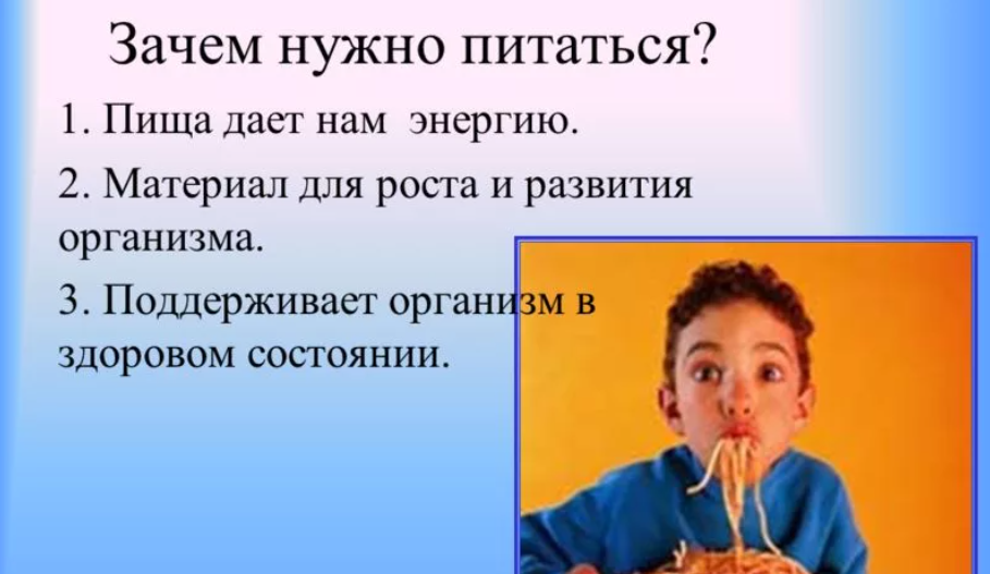 Зачем нужно питаться. Почему человеку нужна пища. Почему люди должны заботиться о правильном питании. Для чего человек питается.