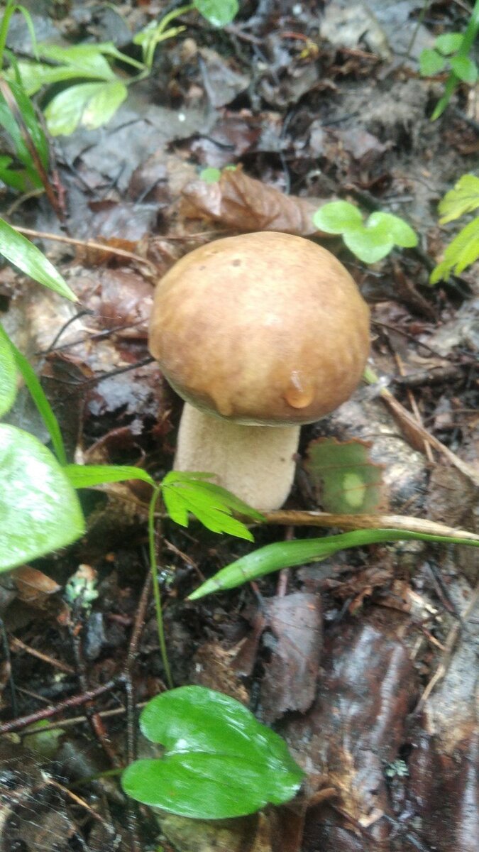 Вот это провокационное фото))