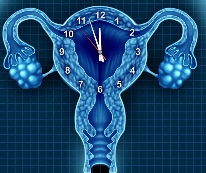 Овариальный резерв неумолимо истощался.