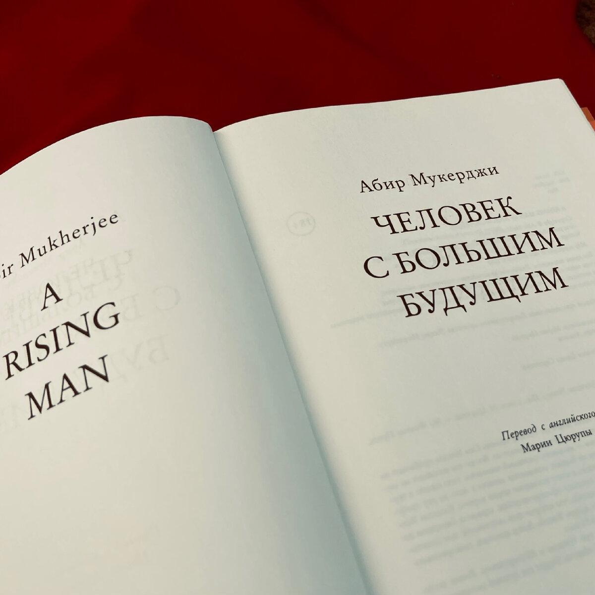 Шерлок Холмс и доктор Ватсон по-индийски (не могу отделаться от этой  аллюзии) - в книге Абира Мукерджи, современного автора. | Елена Иванова |  Дзен