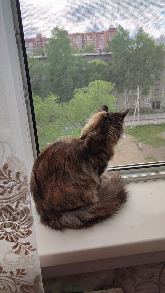 А ещё можно кого-нибудь поразглядывать