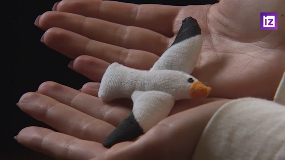     Космонавты возьмут на орбиту чайку – символ МХТ им. Чехова Скриншот видео