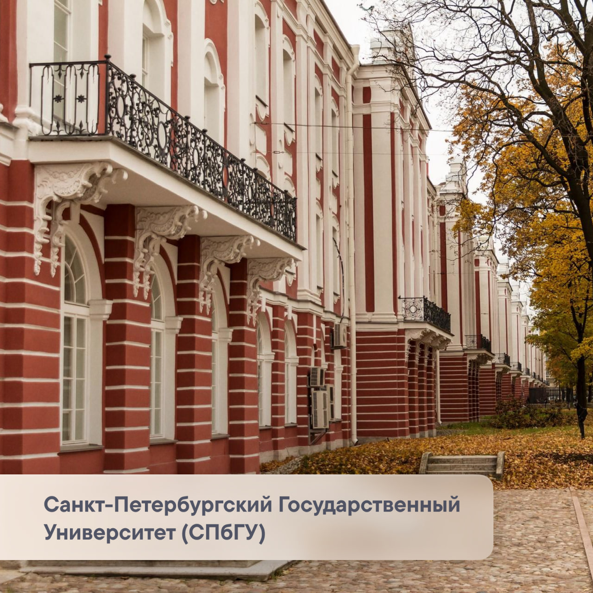 СПбГУ