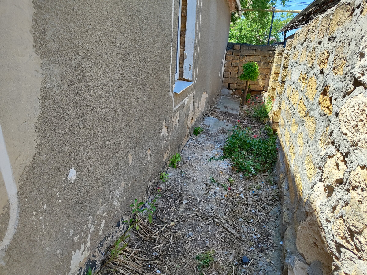 Дерево на горизонте в неудачном месте