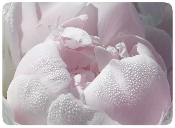 фото - интернет