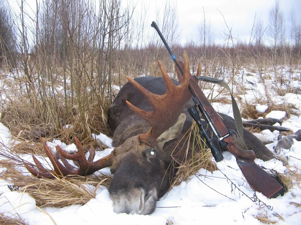 В Тверской области за браконьерство и незаконное хранение оружия в колонию отправится москвич