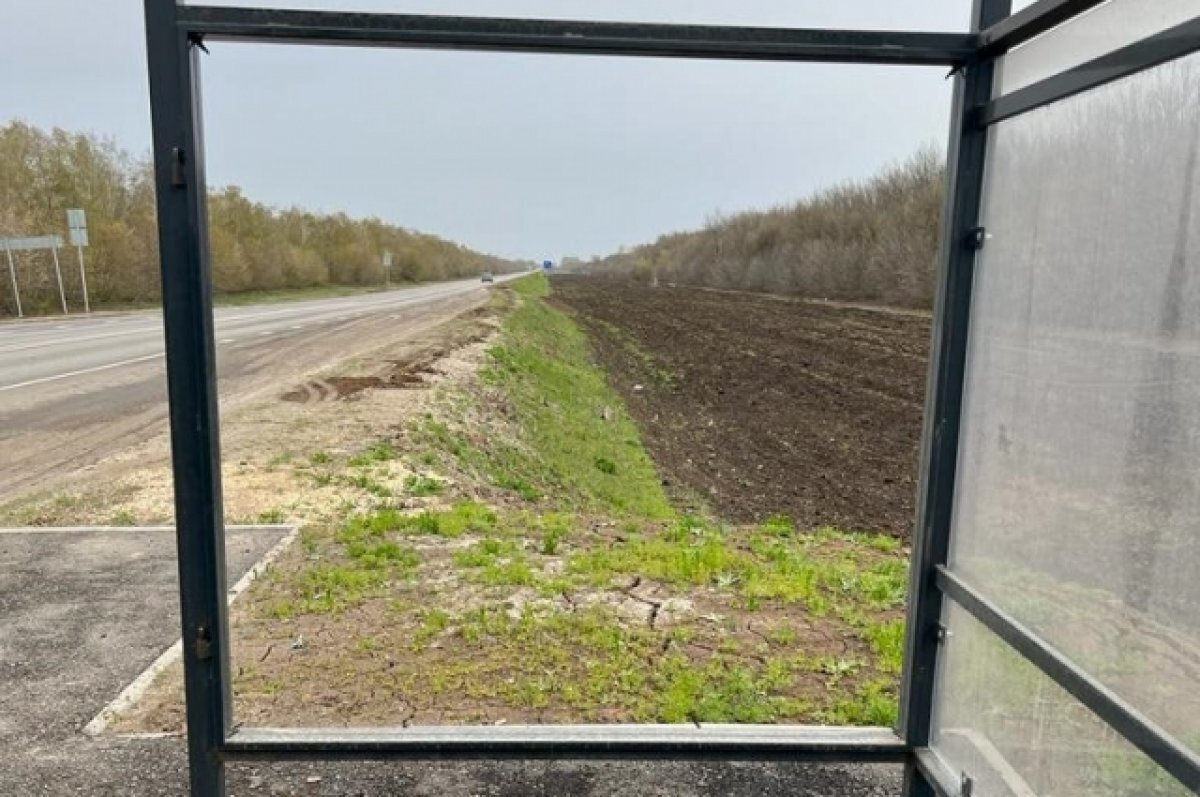    На своем подворье приспособил станичник стекло с остановок под Волгоградом