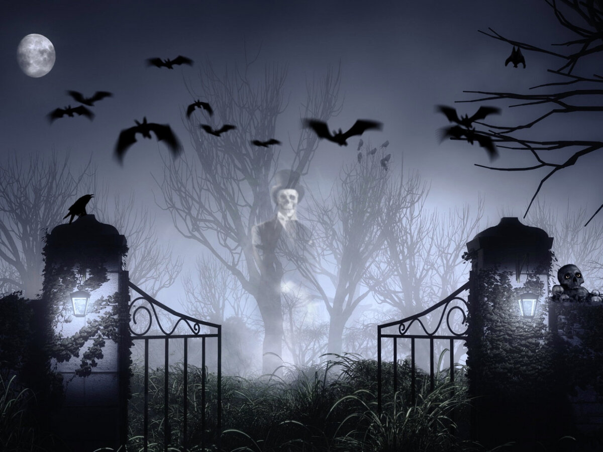 фото взято из открытого доступа сети интернет на Яндекс картинки