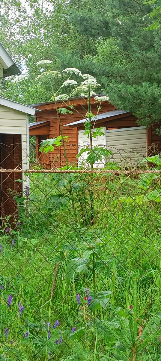 Так было ещё вчера!