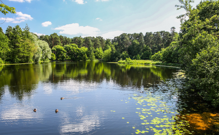 Фото: Мосприрода