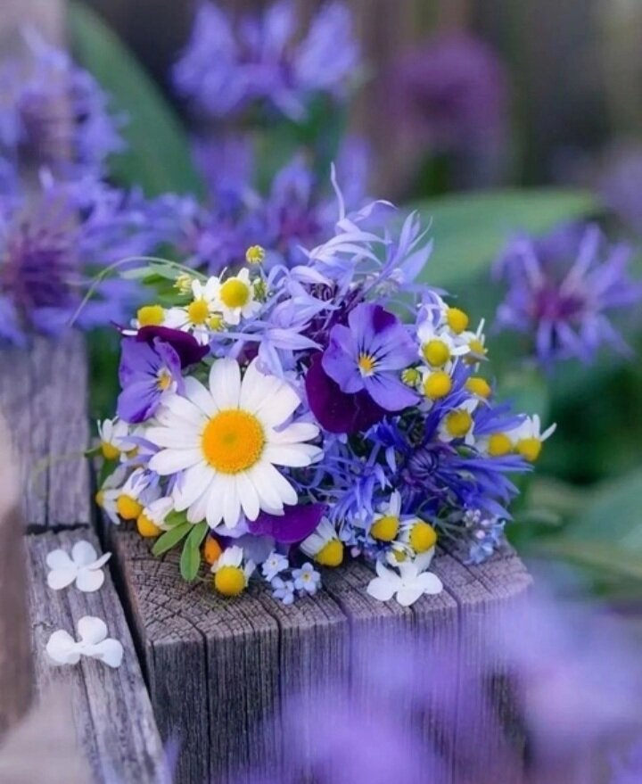 фото из общедоступных источников 