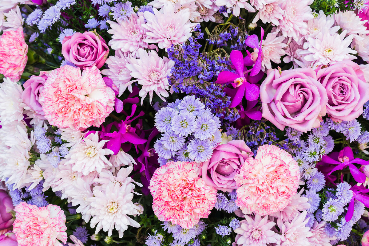 <a href="https://ru.freepik.com/free-photo/pink-and-purple-flowers_976270.htm#query=%D0%B3%D0%B5%D1%80%D0%B1%D0%B5%D1%80%D1%8B&position=18&from_view=search&track=sph">Изображение от mrsiraphol</a> на Freepik