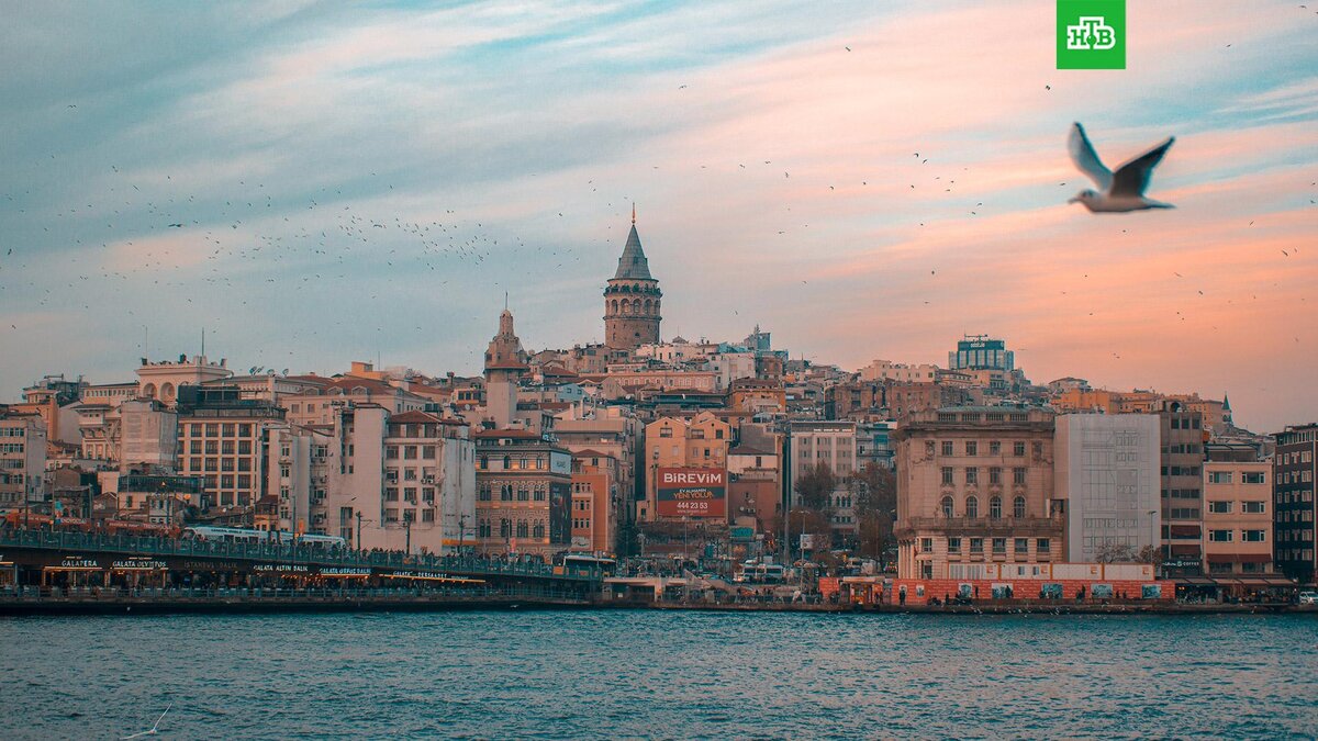    Фото: Ibrahim Uzun / unsplash.com