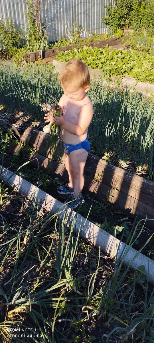 Пойман с поличным...