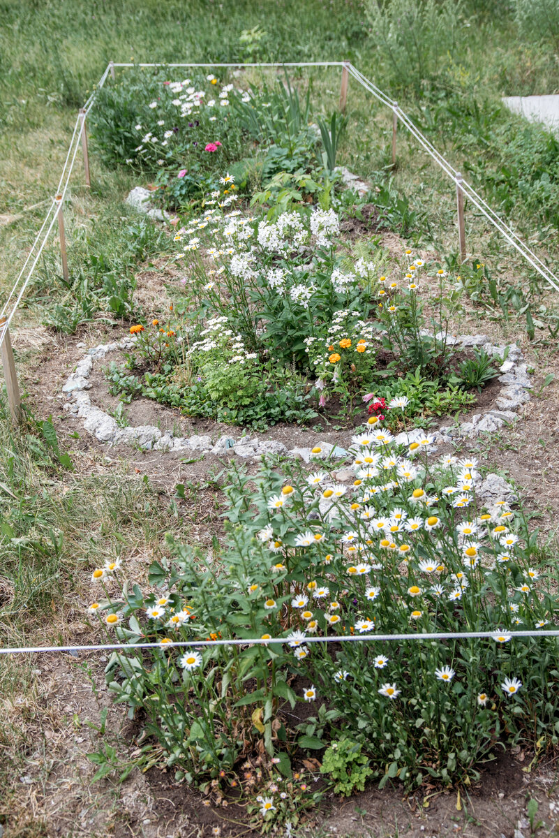    Инициативные сургутяне предложили создать город-сад