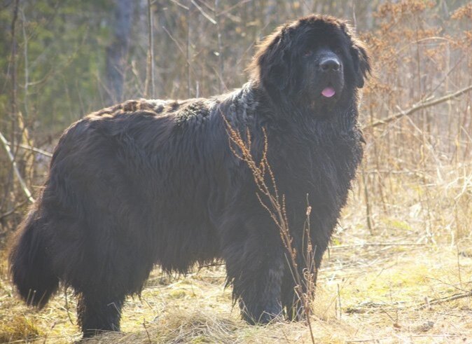 фото из свободного доступа в интернете.