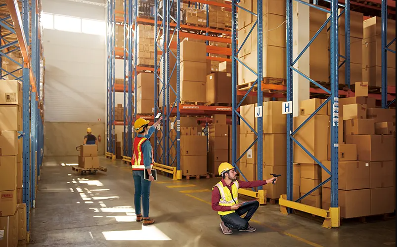 RS36 использование на складе