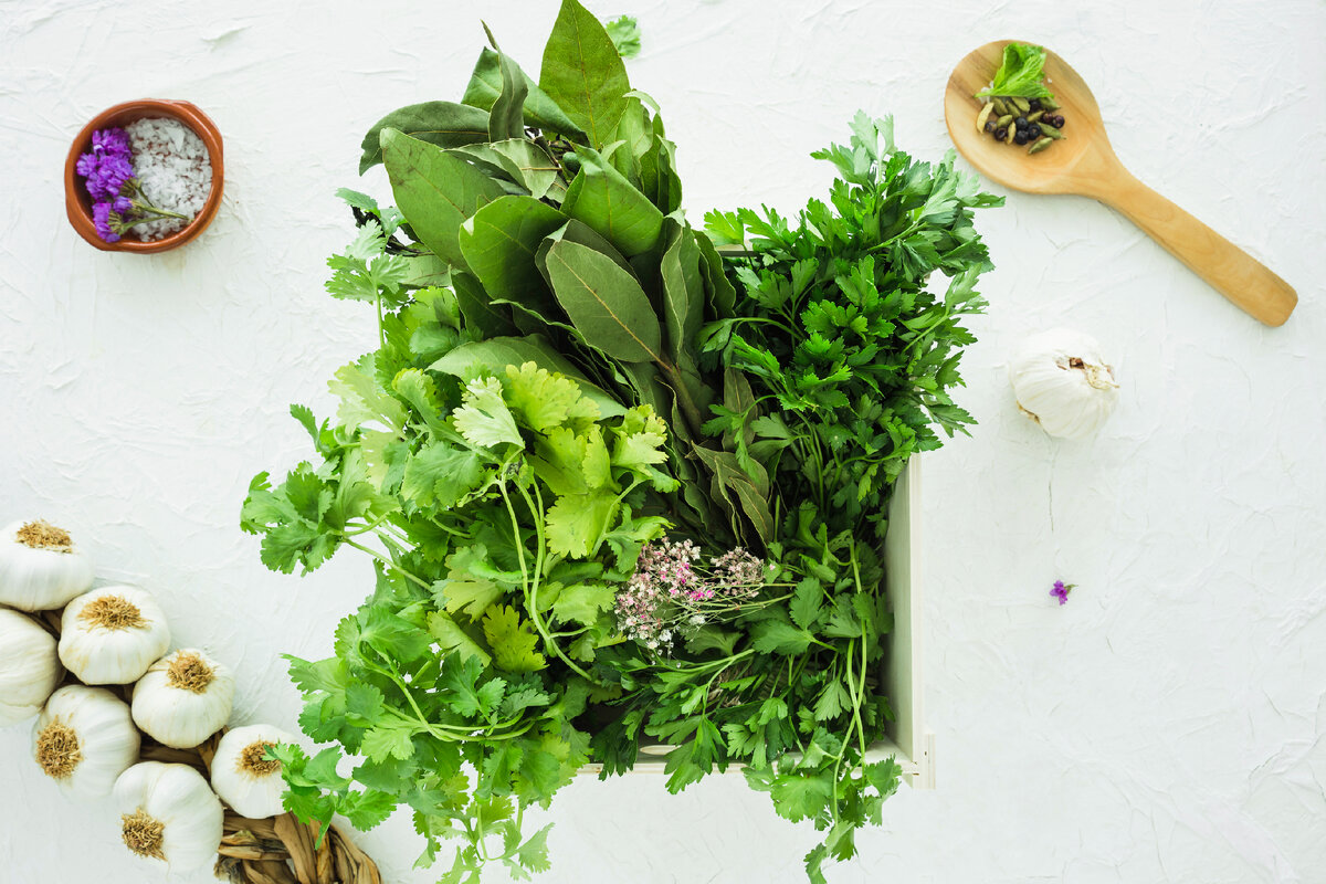 Image by <a href="https://www.freepik.com/free-photo/modern-helathy-ingredients-composition_3362314.htm#query=%D0%B2%D0%B8%D1%82%D0%B0%D0%BC%D0%B8%D0%BD%D1%8B%20%D0%B7%D0%B5%D0%BB%D0%B5%D0%BD%D1%8C&position=17&from_view=search&track=ais">Freepik</a>