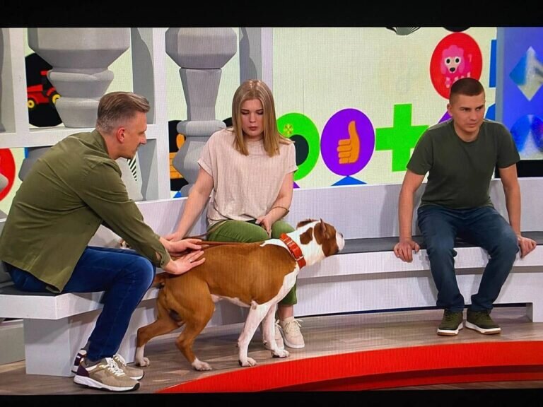    Семья Морозюк из Оренбурга стала героями передачи на Первом канале «Видели видео?» Белов Михаил Александрович