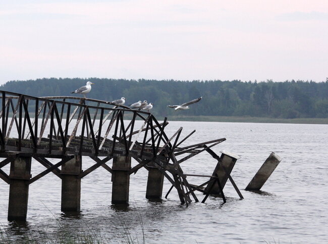 Новгородской море