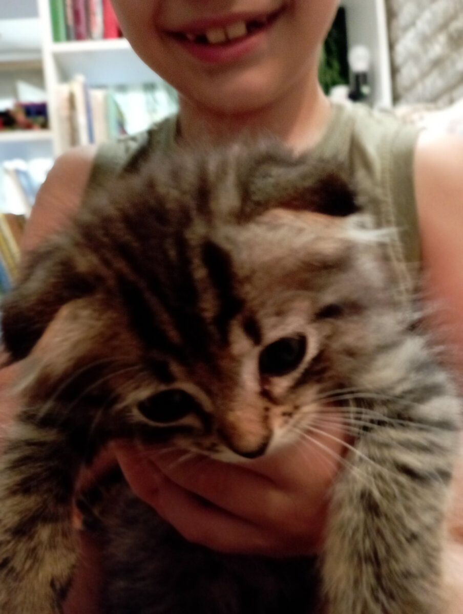 Общая любимица. 