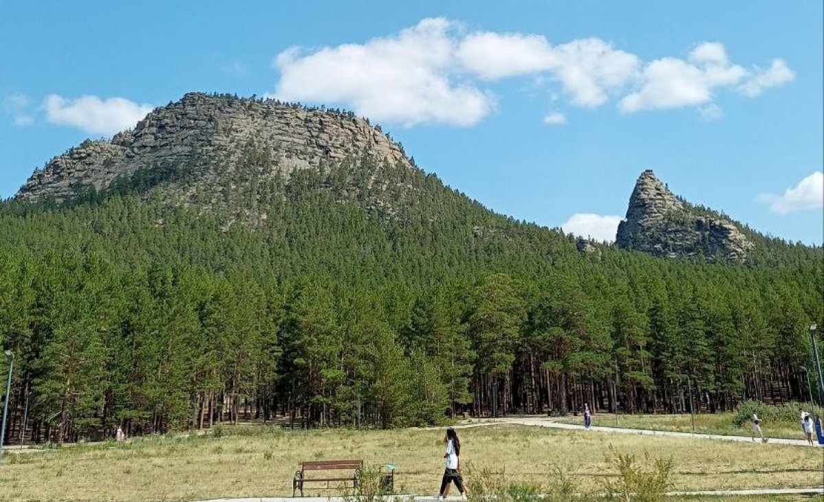    Тот самый «Объевшийся ёжик»