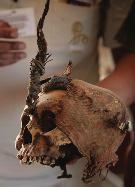 Трофейный череп. Изображение взято из книги А. Ю. Склярова «Перу и Боливия задолго до инков», издательство ВЕЧЕ, 2011