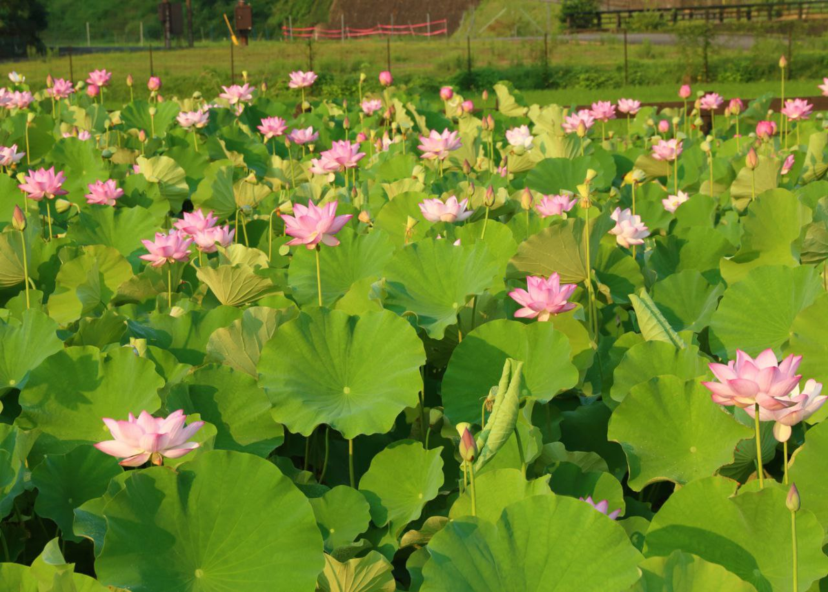 Фото из личного архива