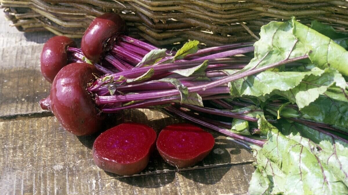    Свекла © Globallookpress Evguenii Matveev