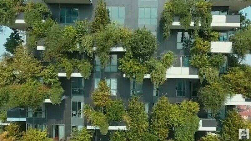    Видео: самые невероятные дома, в которых живут люди