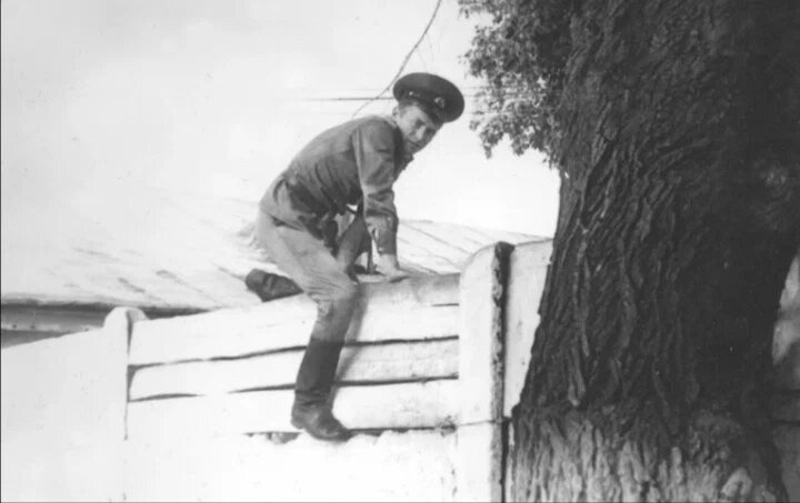 Фото из интернета. 