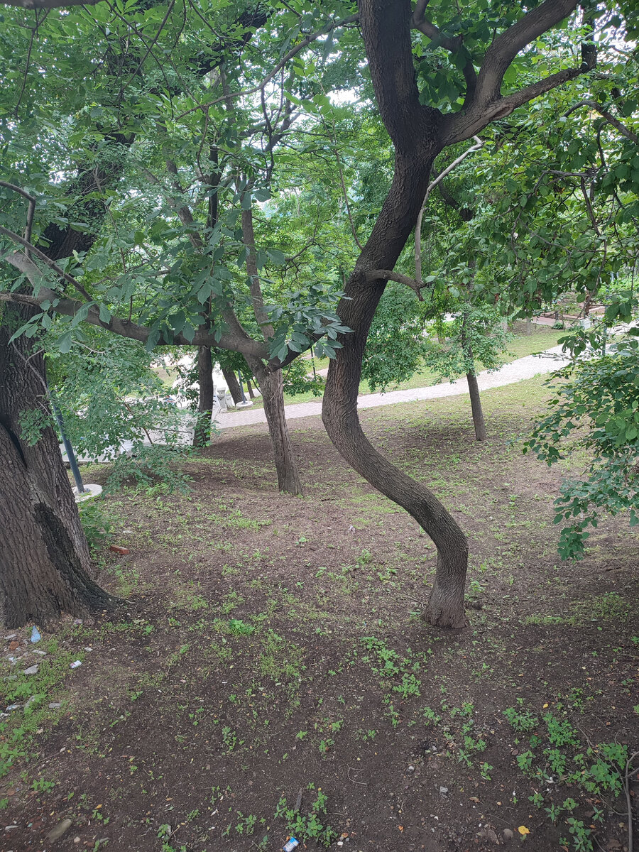 Где-то здесь был Машкин овраг. Фото автора.