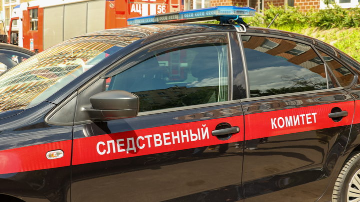PETROV SERGEY/NEWS.RU VIA GLOBALLOOKPRESS.COM 