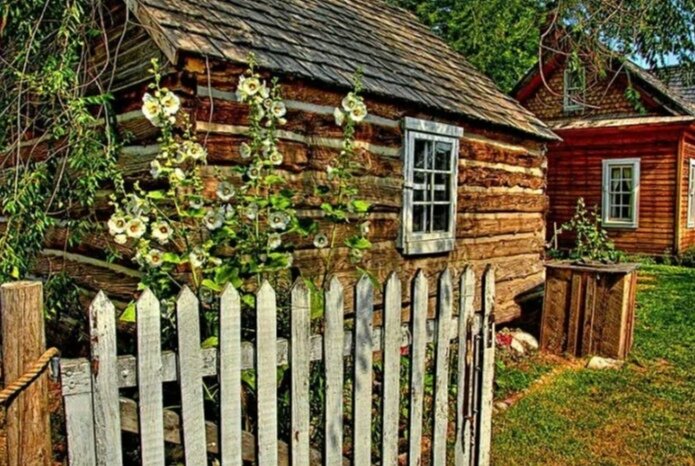 Фото из открытых источников 