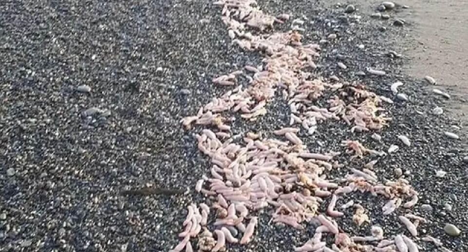 Социальные сети📷
