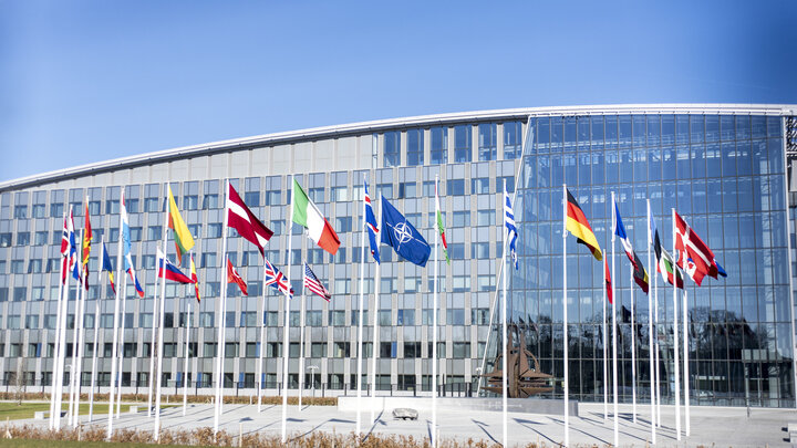 © DANNY GYS/GLOBALLOOKPRESS 