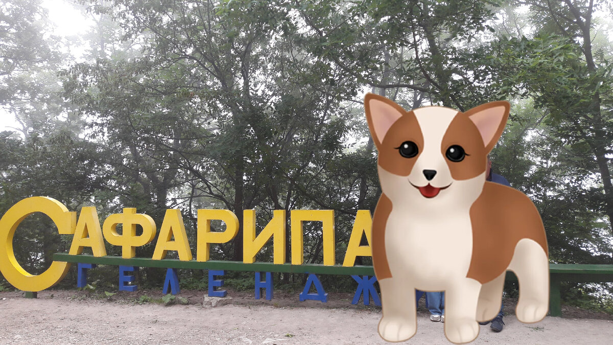 Рекомендую погулять там с семьей😊👍