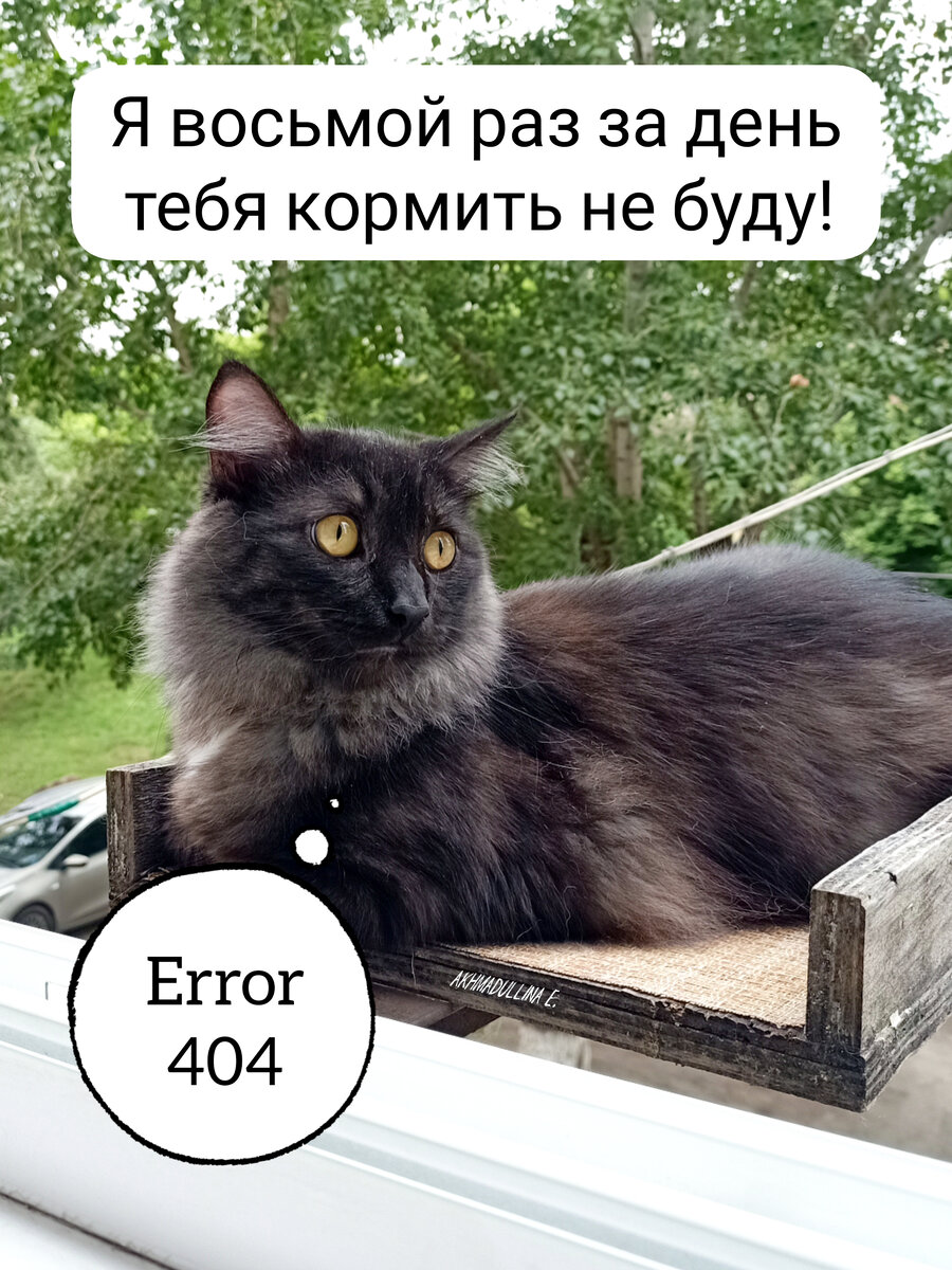 Ошибка, ошибка.