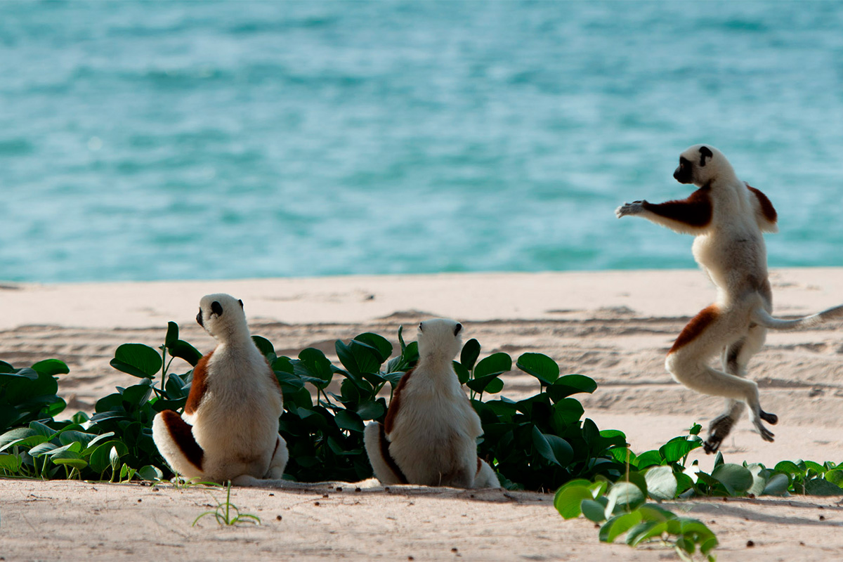 Фотография из отрытого источника