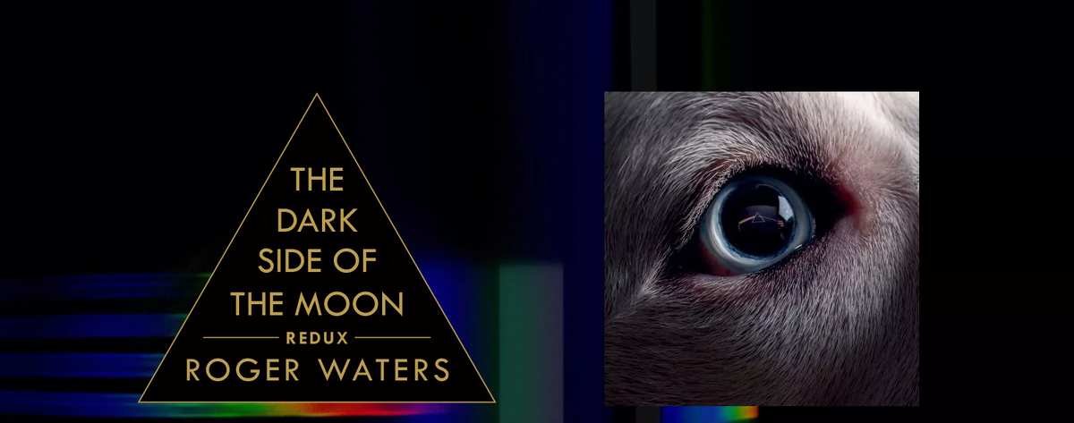 Источник фото: rogerwaters