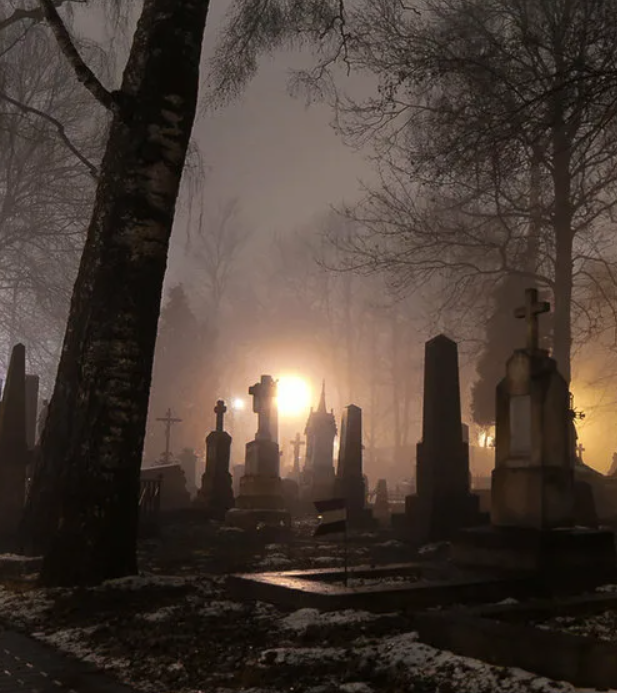 картинка взята из интернета