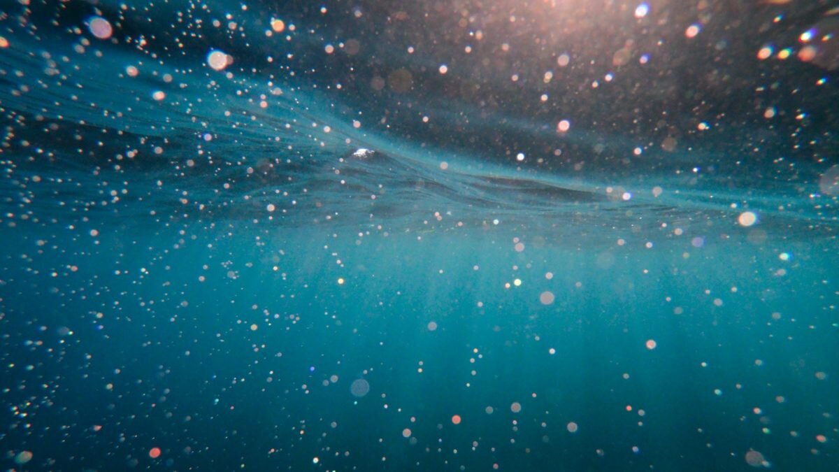    Фото: Cristian Palmer / Unsplash Август Макаров