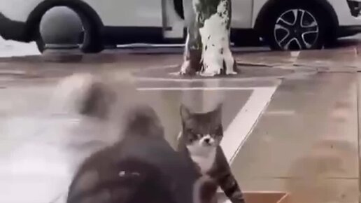 Новости Тагила TagilCity.ru | "Вези меня извозчик по гулкой мостовой ...