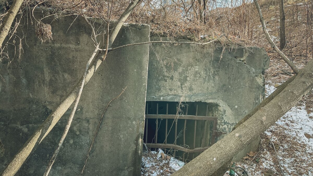     Администрацию Филоновского сельского поселения обвинили в халатном отношении к сооружению гражданской обороны в Волгоградской области, сообщает облсуд.