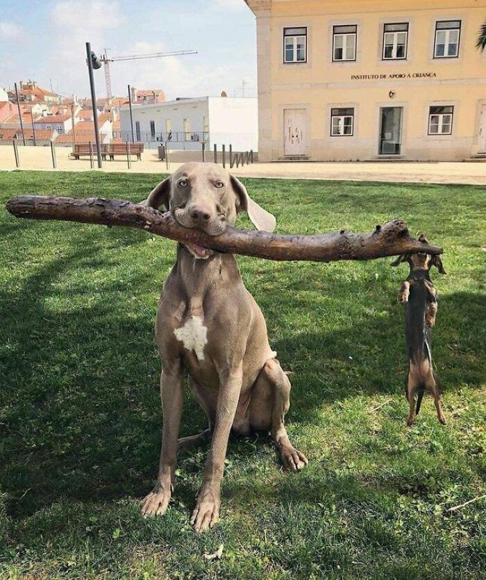 Фото: www.reddit.com/r/whenyouseeit
