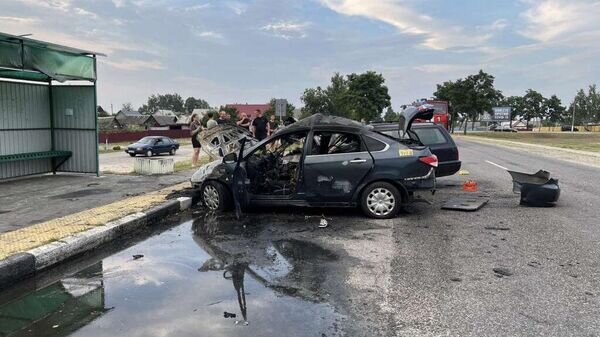    © Telegram / "Сожский Форпост"