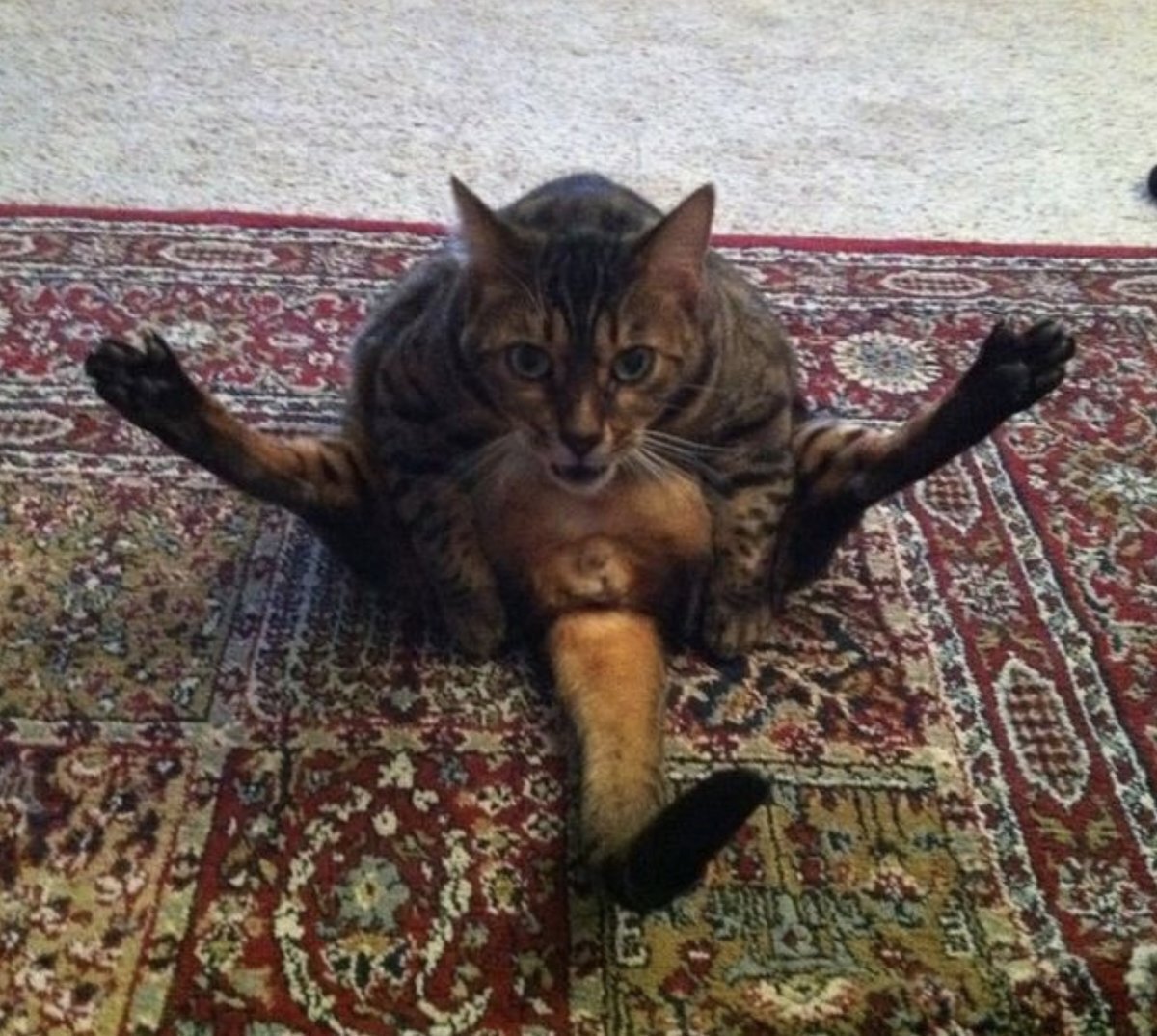 Я испугался но зато очень смешно 🤣🤣🤣🤣🤣