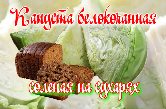 Как легко и вкусно заквасить капусту, а еще раньше ее выбрать – блог интернет-магазина zelgrumer.ru
