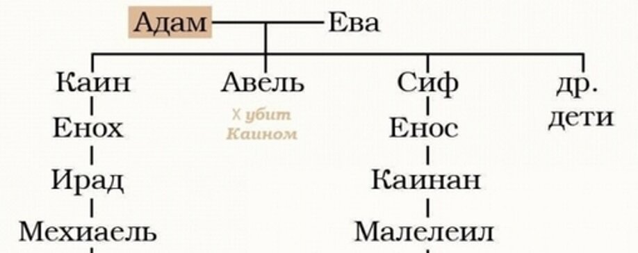Родословная потомков Адама и Евы